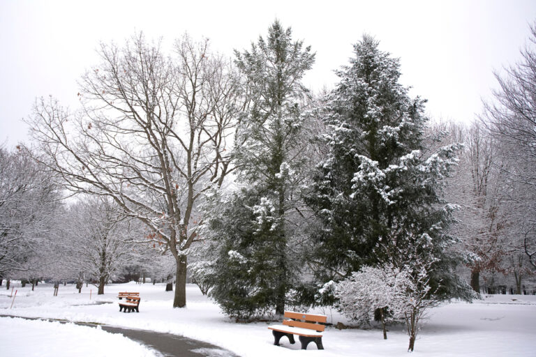 15 Best Things To Do in Winter in Michigan Midwest Explored