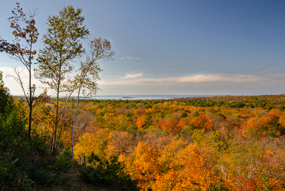 The forest puts on its coat of Autumn color on the Green Bay shore in Door County 