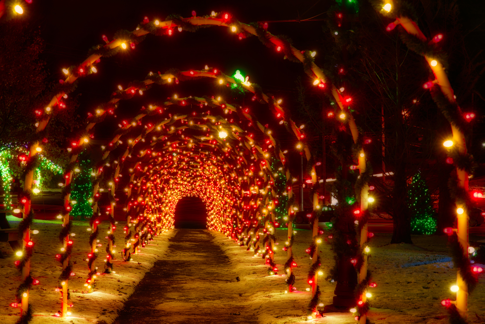 A tunnel of lights over a dirt path with snow on the ground