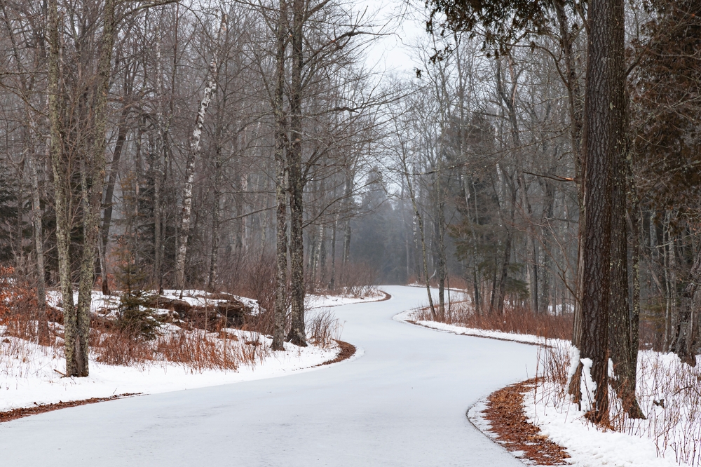 A curving road is being freshly covered with snow and is seen before any vehicle has tracked it up, Whitefish Dunes State Park, Door County, Wisconsin