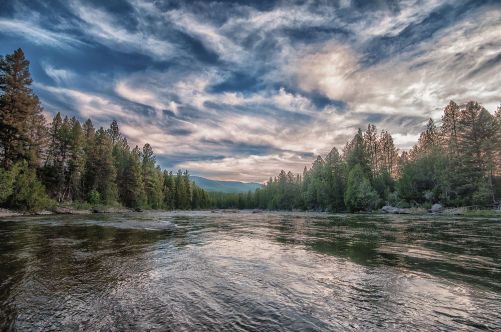 Low angle photo of the Blackfoot River with trees on either side.