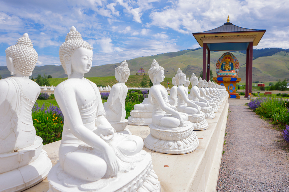 Lines of white Buddha statues with mountains in the distance.