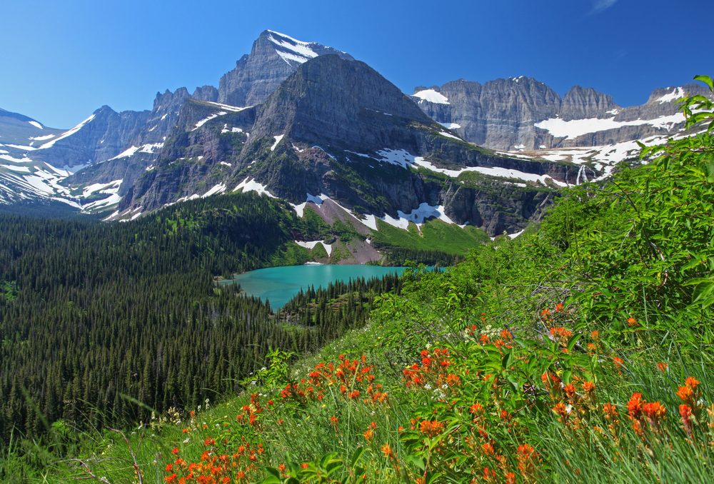 View of Glacier National Park in Montana looking down at a bright, blue lake nestled in mountains with flowers in the foreground.