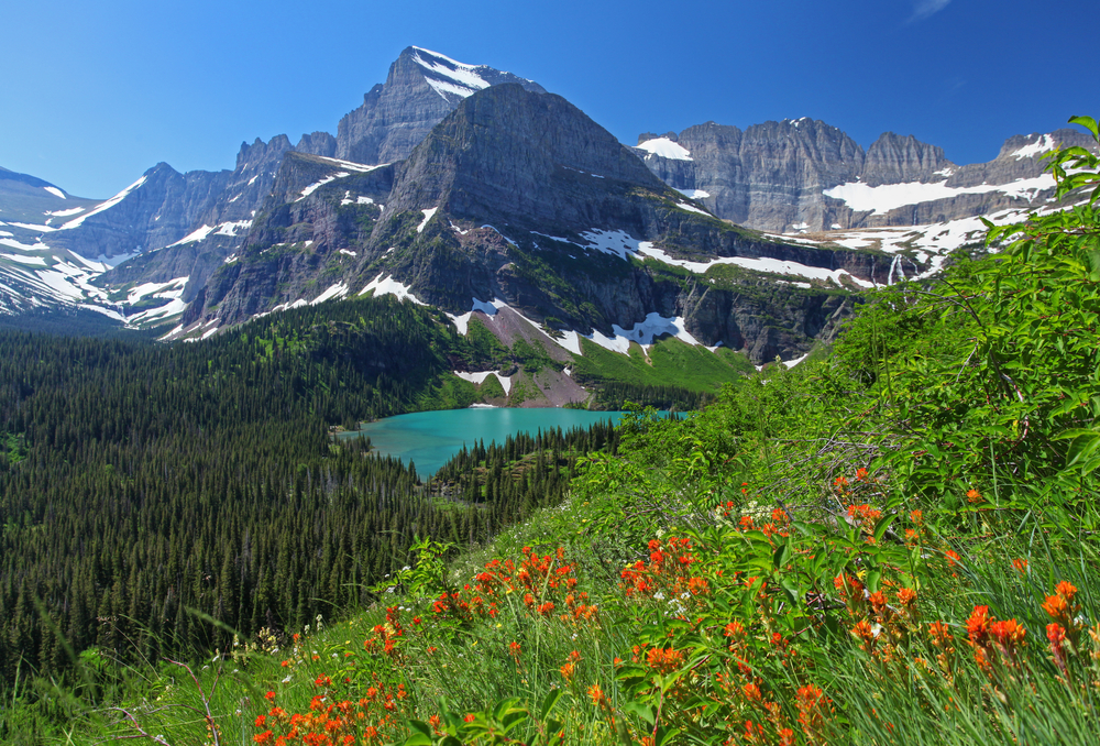 Snowcapped mountains in background with blue glacial lake in middle, and hill with red flowers blooming