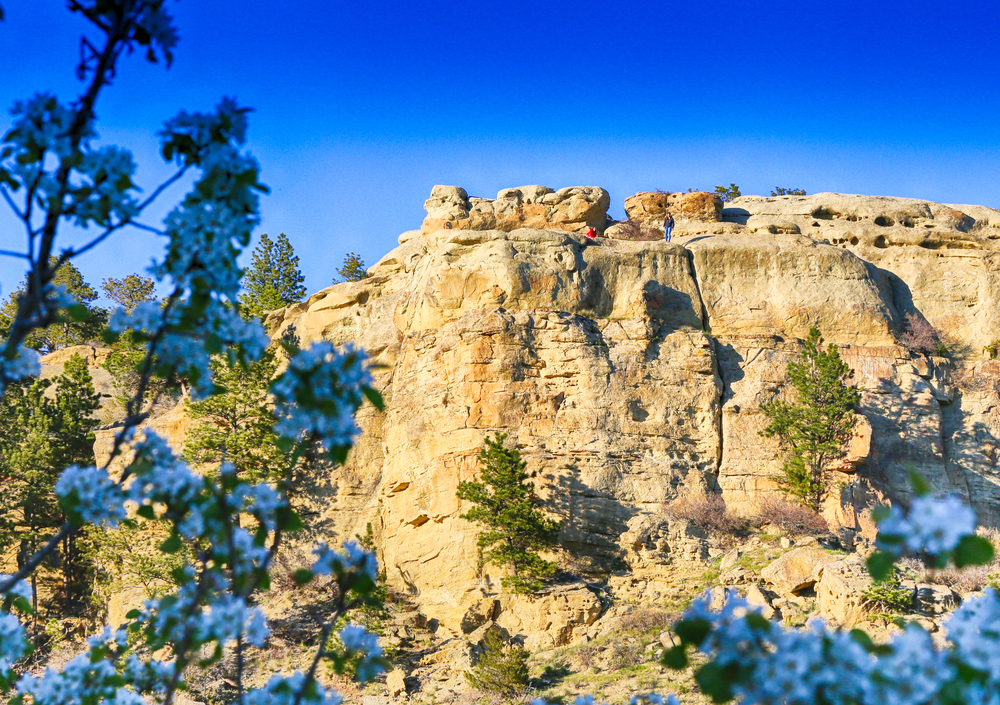 Sandstone cliffs things to do in billings