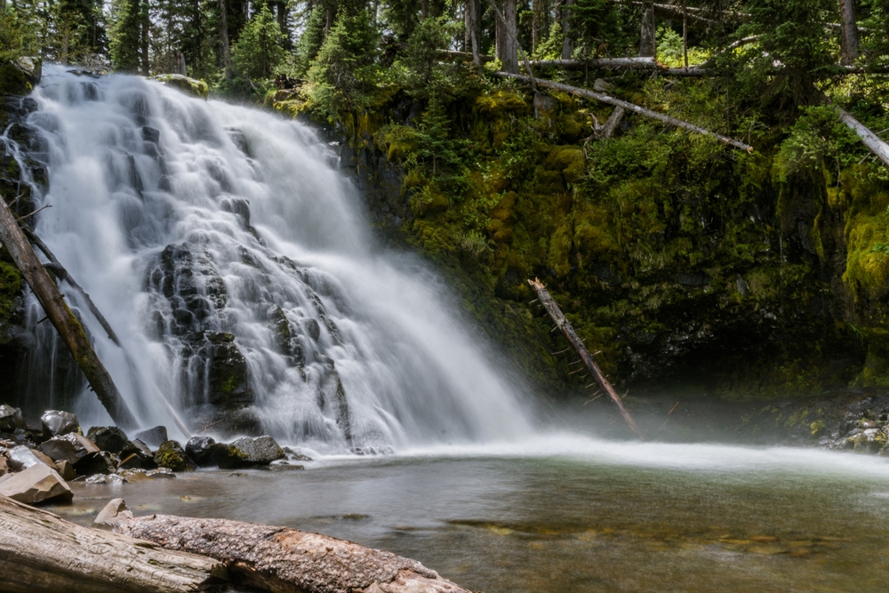 A  large cascading waterfall surrounded by moss covered rocks and tall trees