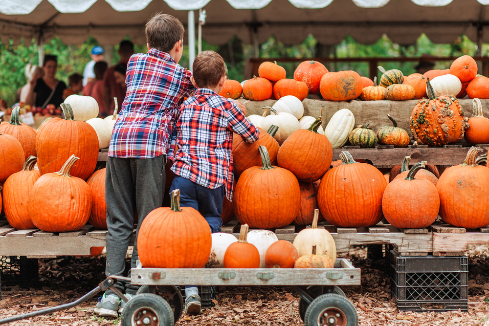 Two kids picking out pumpkins at a huge booth full of pumpkins of all sizes and colors