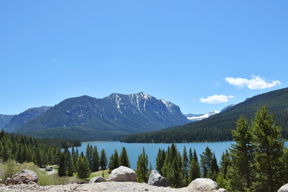 A view of a large creek surrounded by mountains and trees, one of the best things to do in Bozeman