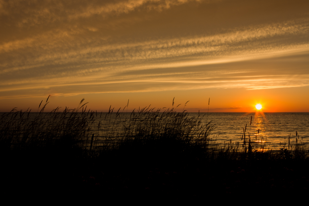 Sunset over the water with beach grass in the foreground