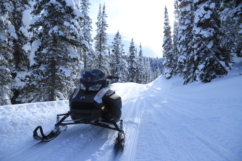 person operating a snow mobile while being surrounded by forest and snow