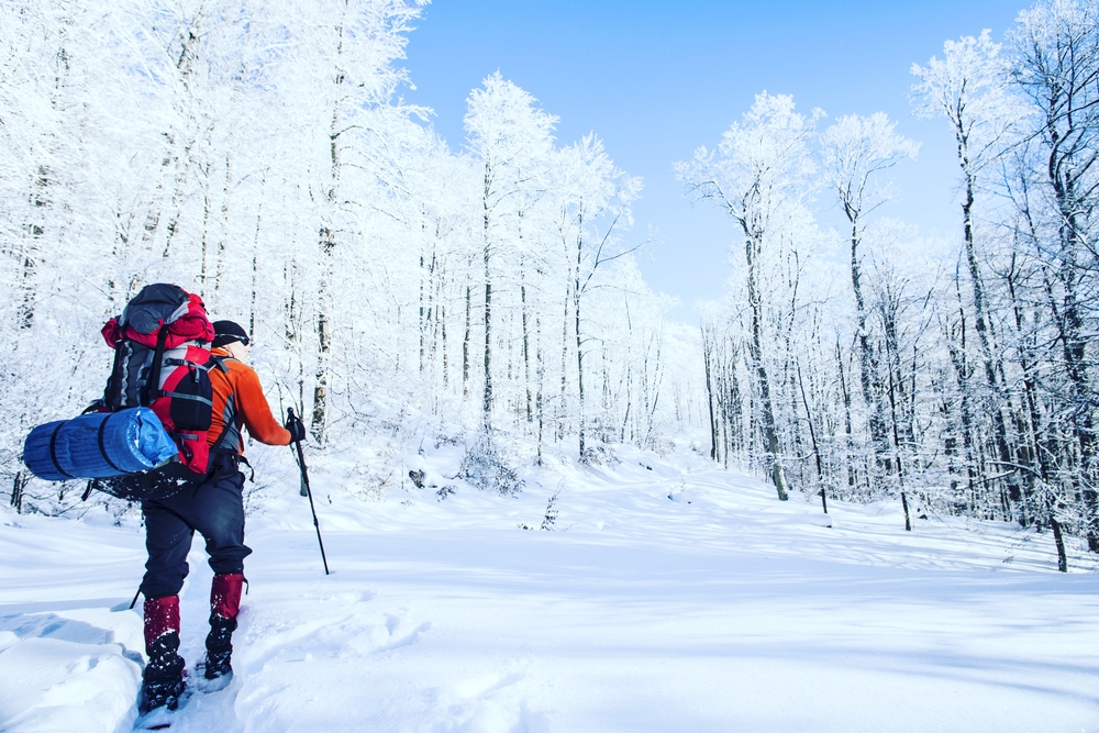 guy hiking in winter in a forest with a backpack and snowshoe