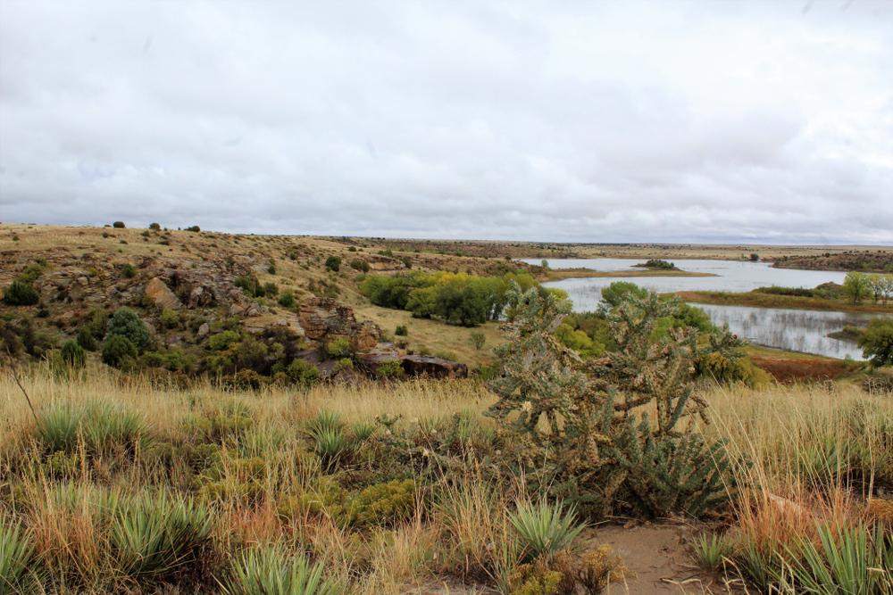 Overcast sky above the scrubby landscape and lake in Black Mesa State Park.