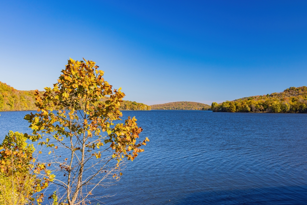 Wide view of Greenleaf Lake on a sunny day.