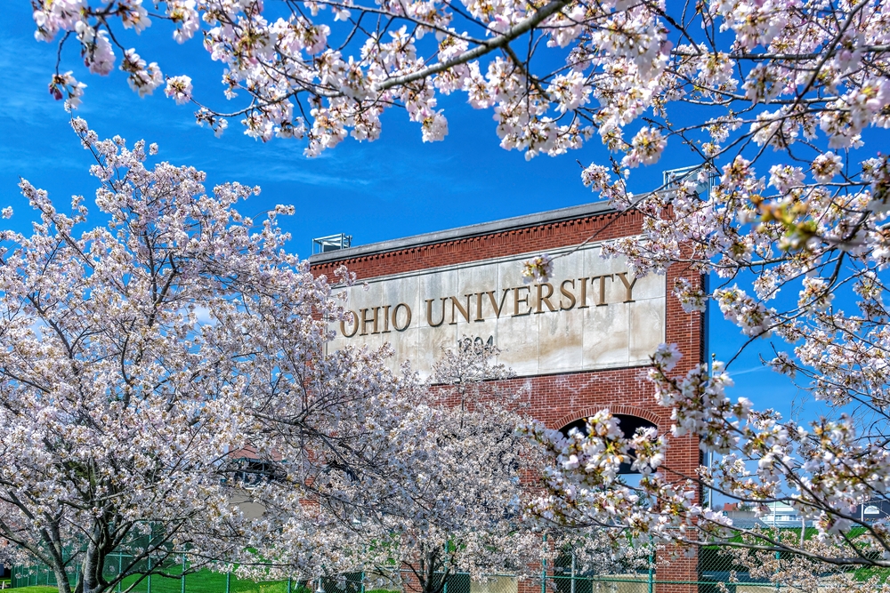 The Ohio University sign seen through pink flowering trees.