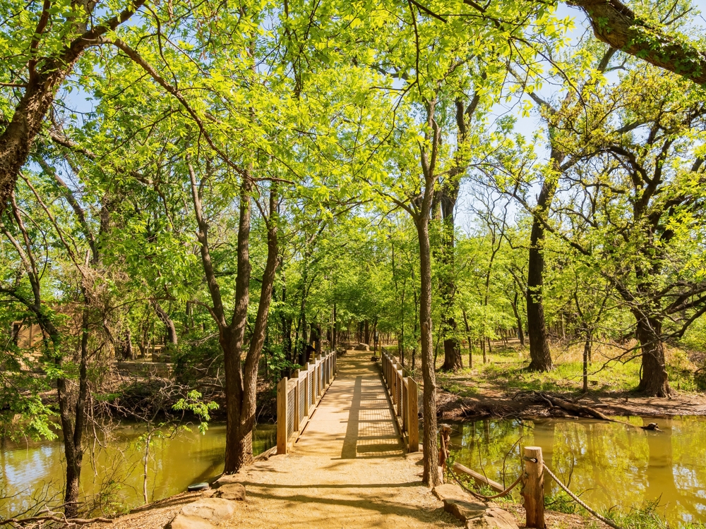 A wooden bridge crossing water and leading into a forest.