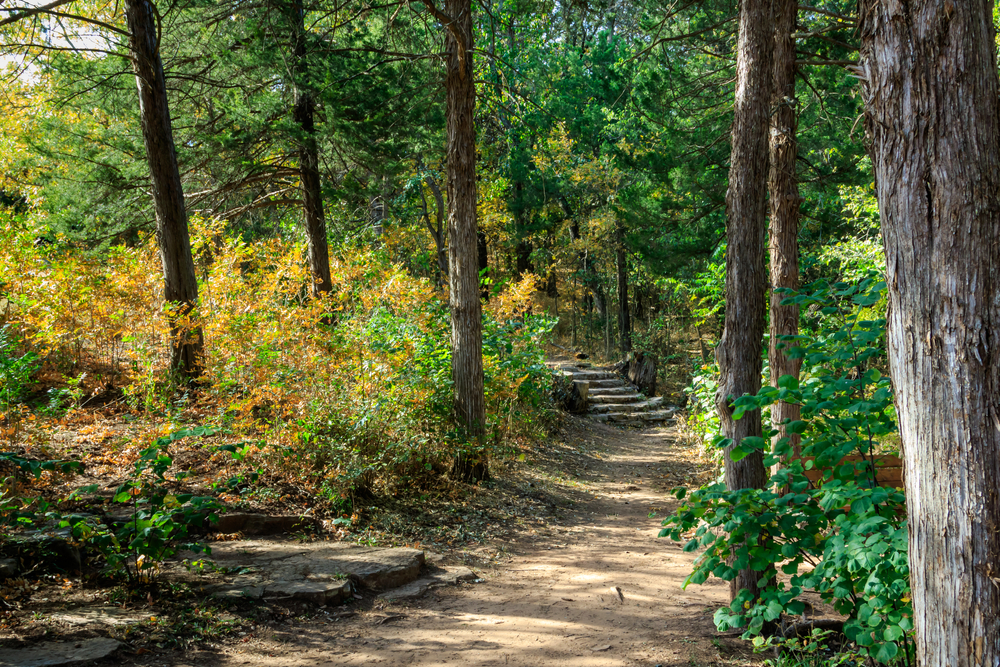 A dirt trail through the woods leading to a short, stone staircase.