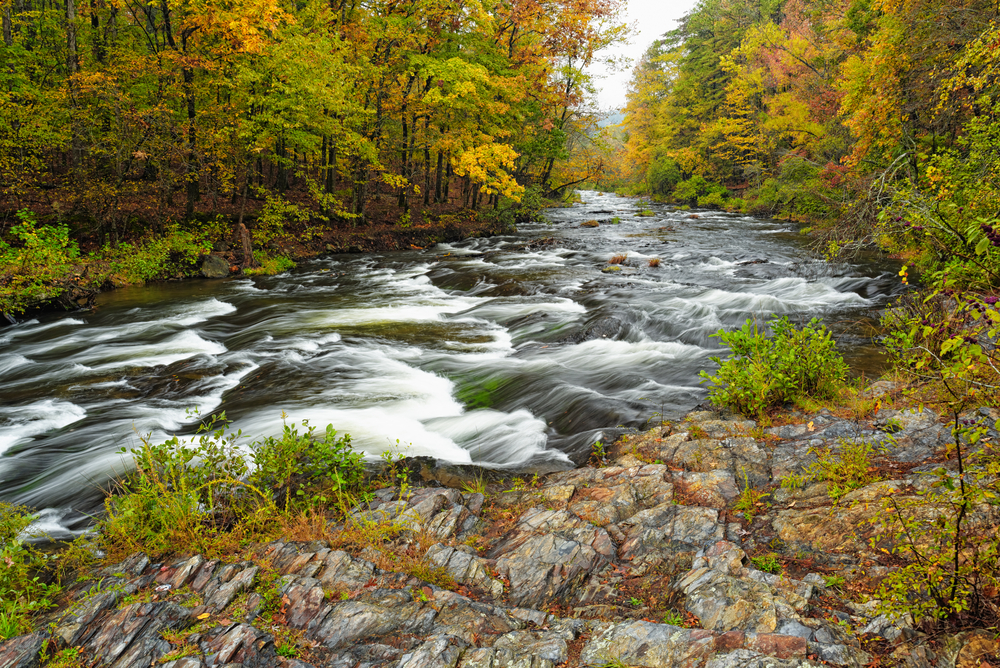 River running through fall foliage in Beavers Bend State Park.