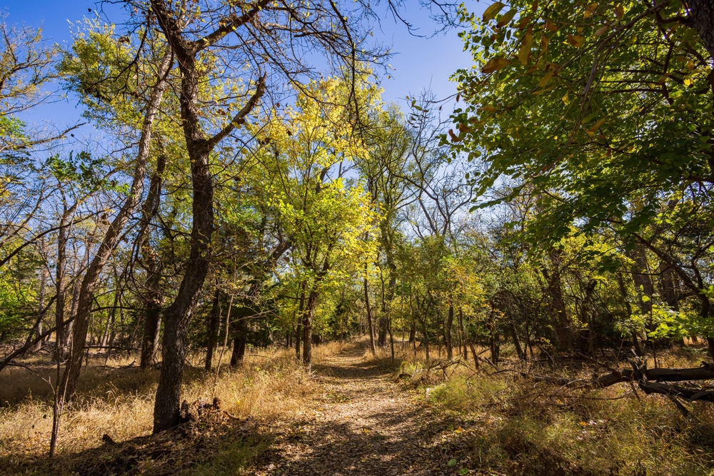 Pretty forest trail at Boiling Springs State Park in Oklahoma.