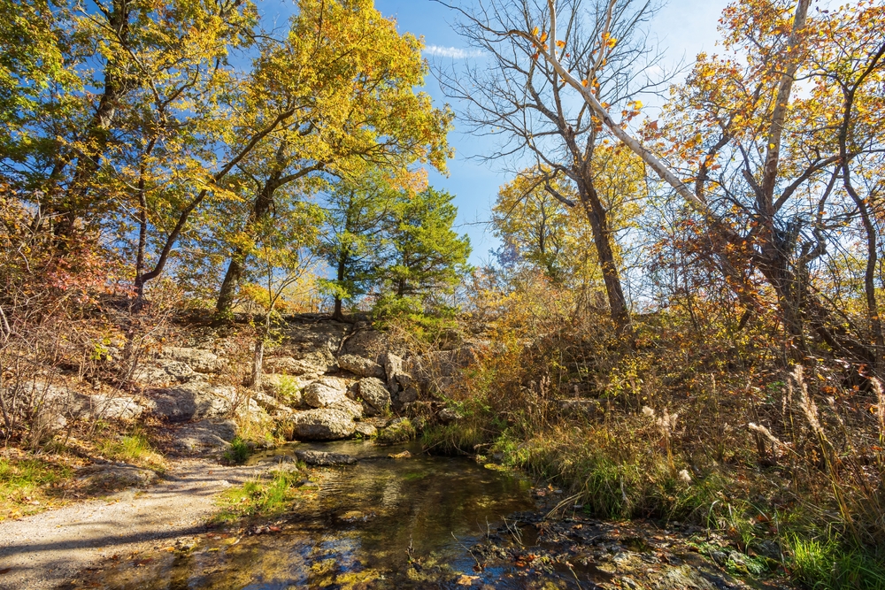 Small creek spring along a trail in the fall.