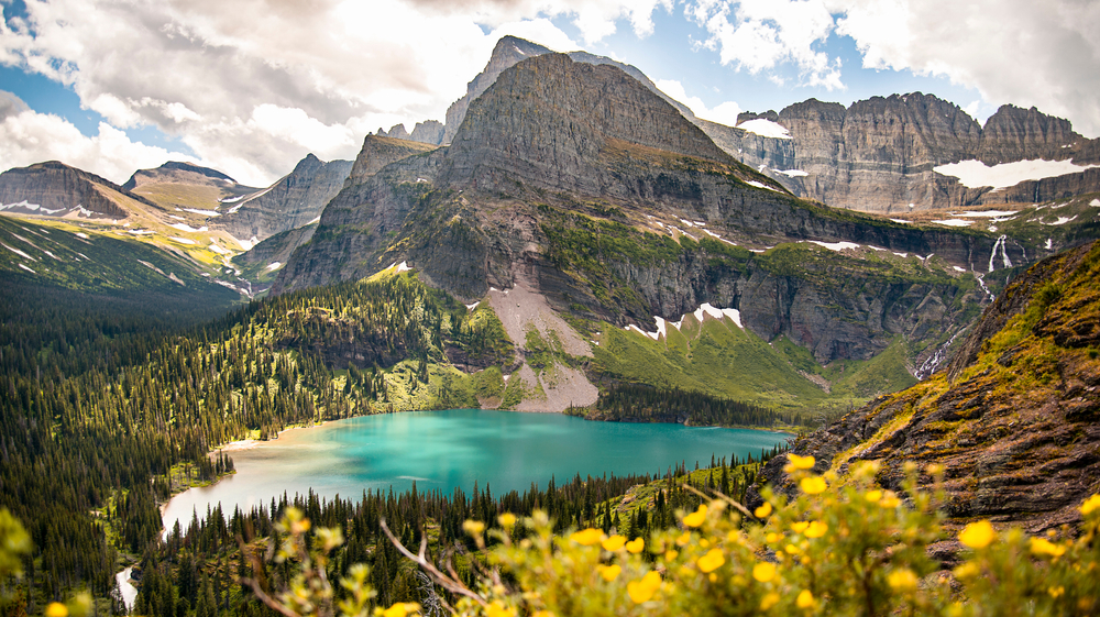 view of yellow flowers with blue lake surrounded by mountaisn in the backdrop hiking in montana