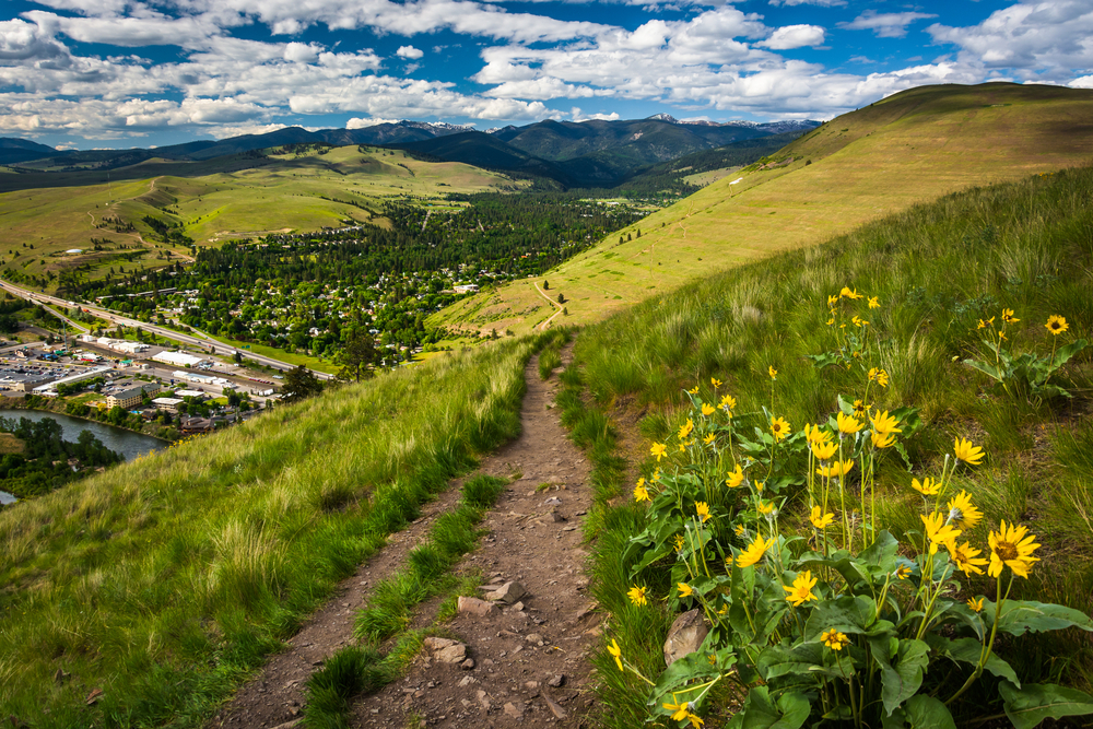 Dirt path along Mount Sentinel with yellow wildflowers and the city of Missoula nestled below.