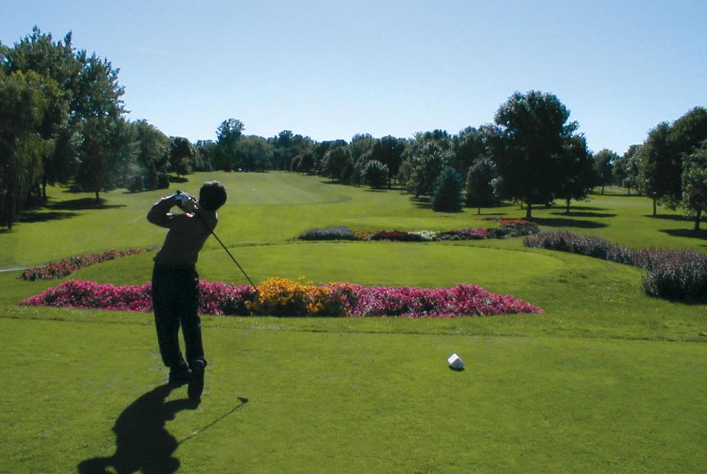 A man taking a swing in golf across a fairway with flowers on. 