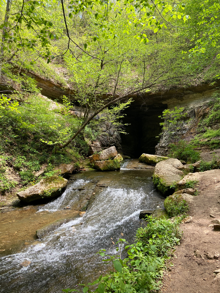 Stream coming from a cave surrounded by greenery in Spring Mill State Park.