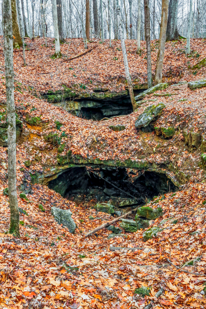 Small entrance to Wolf Cave with fall leaves all over the ground.