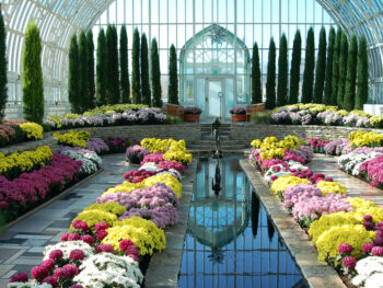 Inside the conservatory building at Como Park one of the best things to do in St. Paul Minnesota