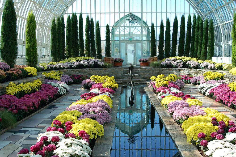 Inside the conservatory building at Como Park one of the best things to do in St. Paul Minnesota