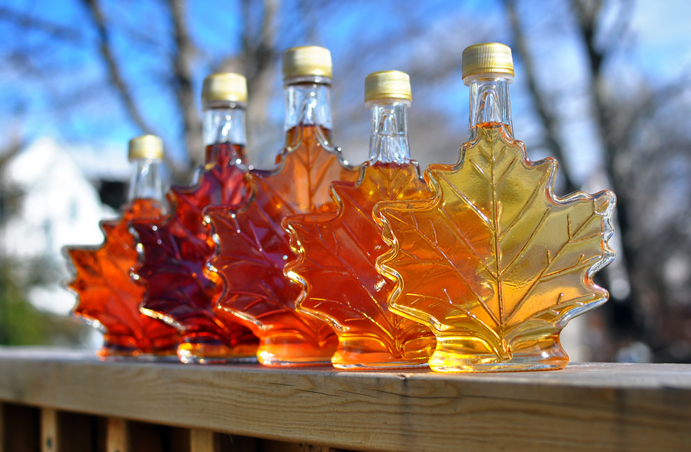 Different colour variatons of maple syrup in bottles outside. The bottles are maple lead shaped. 