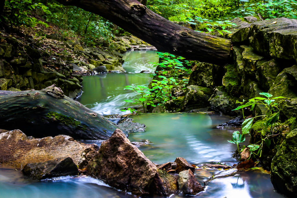 A view of a small stream and waterfall in Minnesota