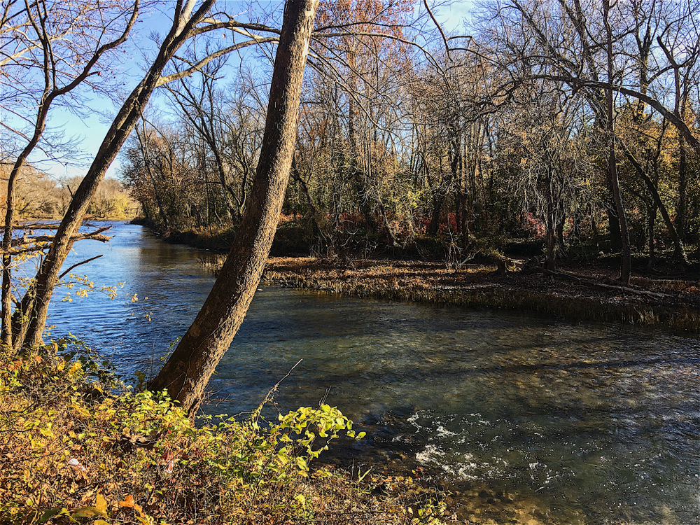 Bare trees over Shoal Creek in the Wildcat Glades, one of the best things to do in Joplin, MO.