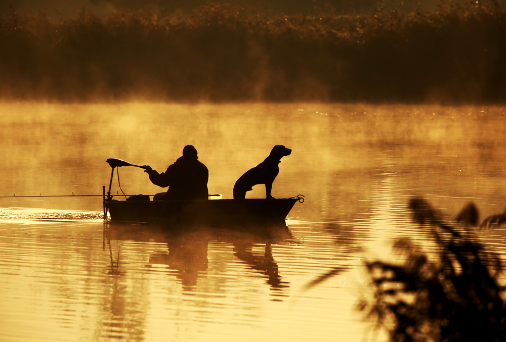 man and dog boating in a lake