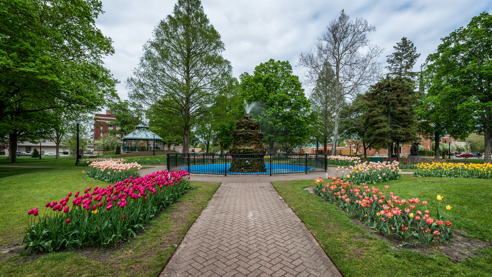 Brick path leading to fountain and tulip beds in Centennial Park.