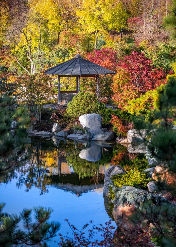 Pretty Japanese garden with a gazebo and fall foliage at the Frederik Meijer Gardens.