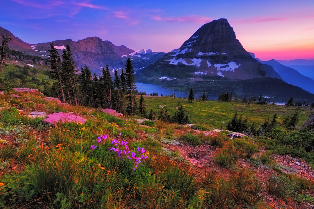Vivid sunset views in Glacier National Park with wildflowers in the foreground and a lake and mountains in the background.