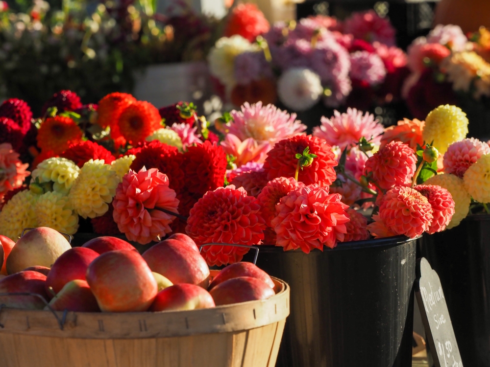 Buckets of fresh flowers and a basket of apples at the Holland Farmers Market.