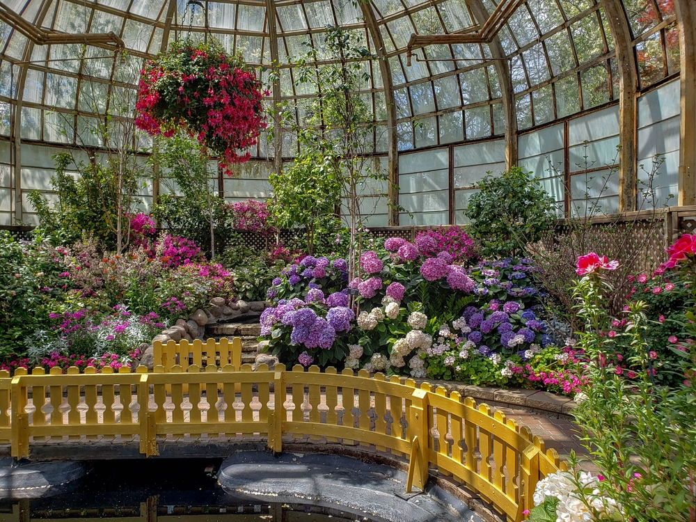 Inside the Lincoln Park Conservatory with a bunch of colorful blooming flowers.