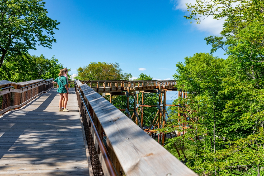 People walking on a elevated boardwalk among trees in Peninsula State Park.