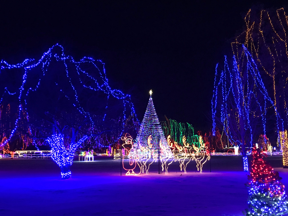 Christmas lights in a park