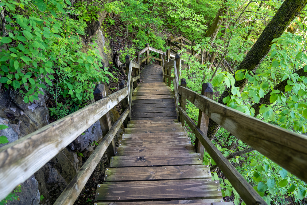 steep wooden steps leading down into a forest things to do at lake of the ozarks