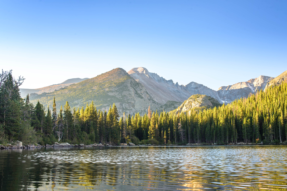 lake surrounded by trees and mountains