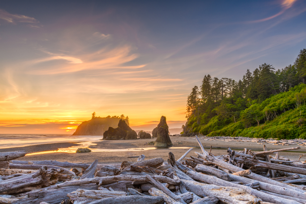 Olympic National Park, Washington, USA at Ruby Beach with piles of deadwood. One of the Beaches to Visit in the US Before You Die.