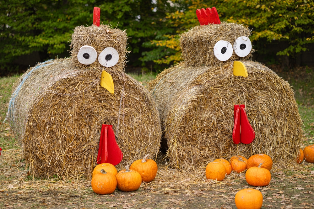 creative straw bale sculptures in the shape of hens