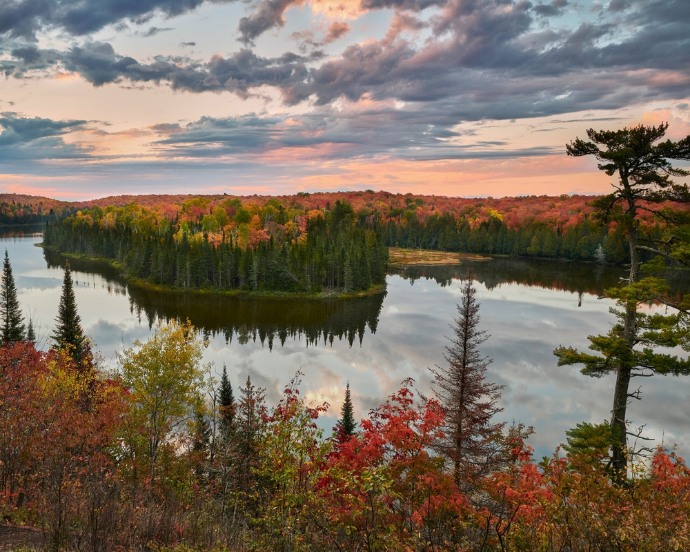 sunrise time over a lake surrounded by trees