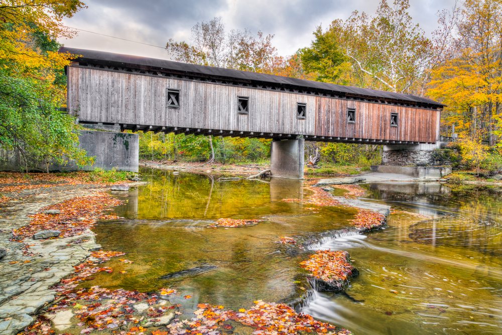 wooden bridge crossing over river surrounded by autumn-colored leaves