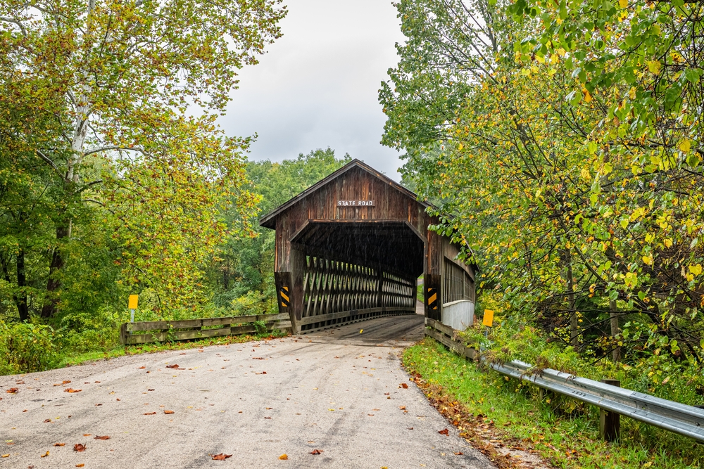 Brown wooden bridge surrounded by lush greenery