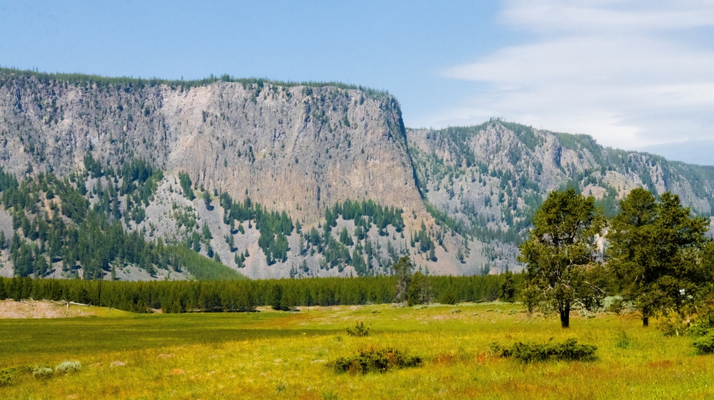 Forested mountains and meadows Yellowstone National Park, near West Yellowstone, a town in Montana.