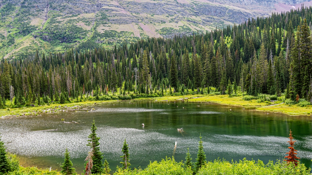 Beautiful views on Two Medicine Valley Trails in glacier national park, Montana. The article is on Glacier National Park itinerary. 